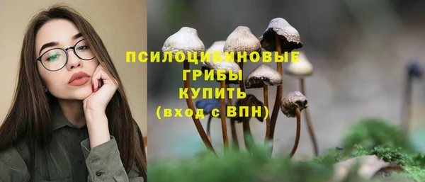 дживик Бугульма