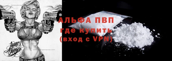 сатива Верея