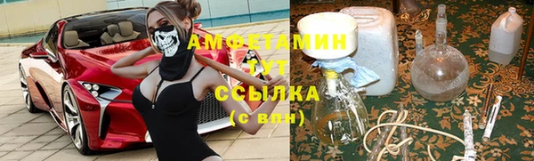 сатива Верея